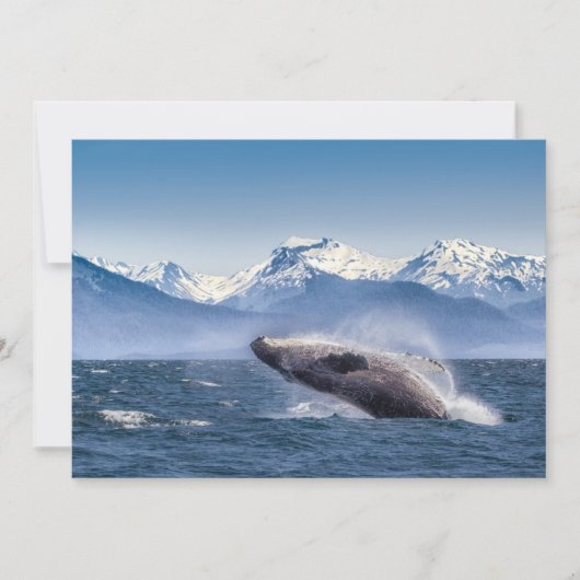 Gebirge | Breaching Whale Glacier Bay, Alaska Dankeskarte (Vorderseite)