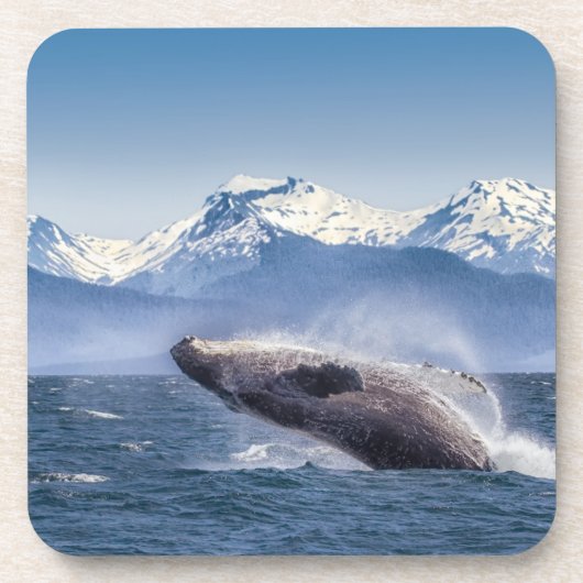 Gebirge | Breaching Whale Glacier Bay, Alaska Getränkeuntersetzer (Vorderseite)
