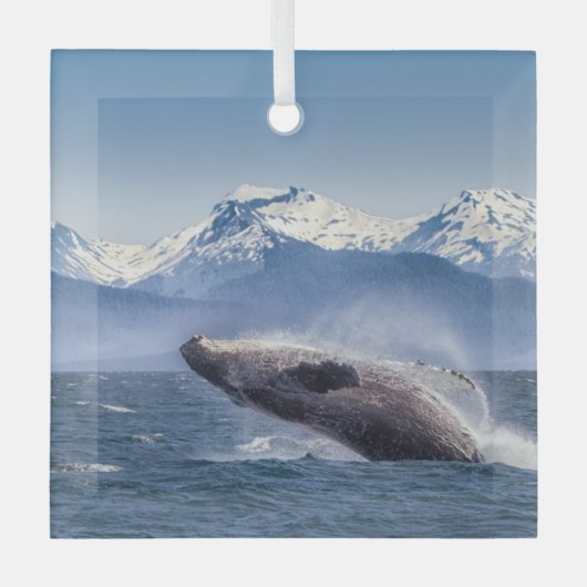 Gebirge | Breaching Whale Glacier Bay, Alaska Ornament Aus Glas (Vorderseite)
