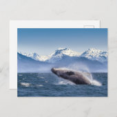 Gebirge | Breaching Whale Glacier Bay, Alaska Postkarte (Vorne/Hinten)