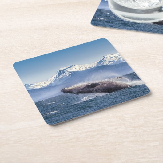 Gebirge | Breaching Whale Glacier Bay, Alaska Rechteckiger Pappuntersetzer (angewinkelt)