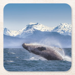 Gebirge   Breaching Whale Glacier Bay, Alaska Rechteckiger Pappuntersetzer