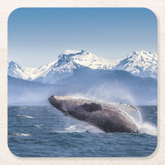 Gebirge | Breaching Whale Glacier Bay, Alaska Rechteckiger Pappuntersetzer (Vorderseite)