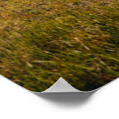 Gebirge | Heilige Kreuzwild, Colorado Poster (Ecke)