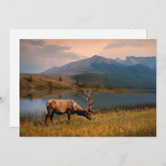 Gebirge | Jacques Mountain Range Alberta Kanada Dankeskarte (Vorne/Hinten)