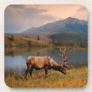 Gebirge   Jacques Mountain Range Alberta Kanada Getränkeuntersetzer