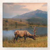 Gebirge | Jacques Mountain Range Alberta Kanada Glasuntersetzer (Vorderseite)