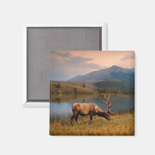 Gebirge | Jacques Mountain Range Alberta Kanada Magnet (Vorderseite/Rückseite)