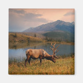 Gebirge | Jacques Mountain Range Alberta Kanada Magnet (Vorne)