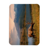 Gebirge | Jacques Mountain Range Alberta Kanada Magnet (Vertikal)