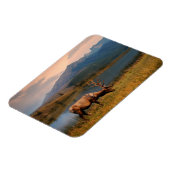 Gebirge | Jacques Mountain Range Alberta Kanada Magnet (Linke Seite)