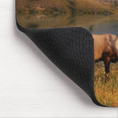 Gebirge | Jacques Mountain Range Alberta Kanada Mousepad (Ecke)