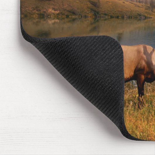 Gebirge | Jacques Mountain Range Alberta Kanada Mousepad (Ecke)