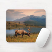 Gebirge | Jacques Mountain Range Alberta Kanada Mousepad (Mit Mouse)