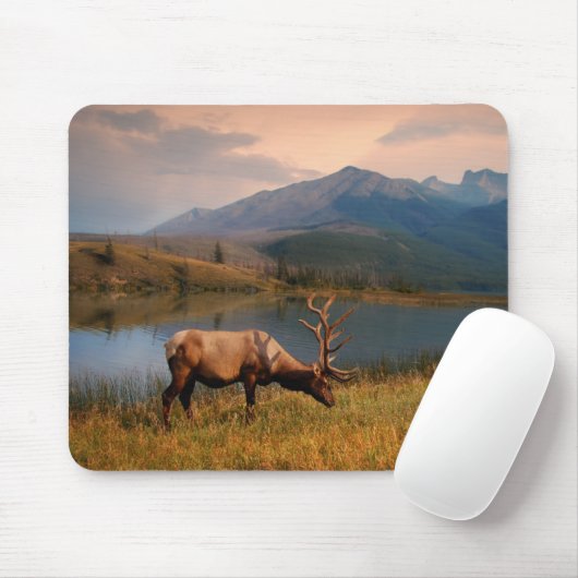 Gebirge | Jacques Mountain Range Alberta Kanada Mousepad (Mit Mouse)
