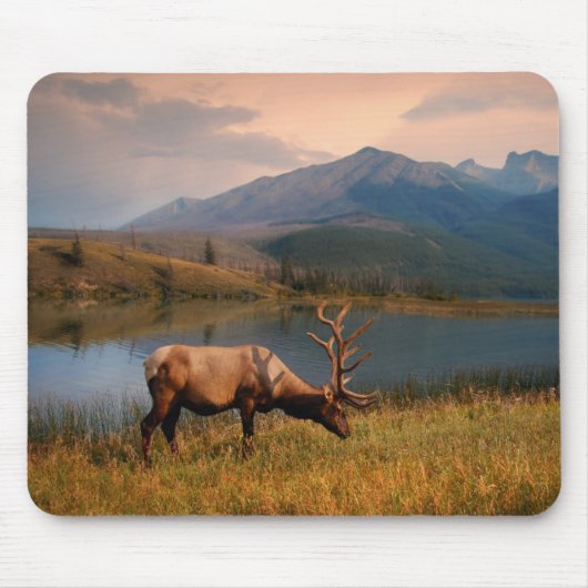 Gebirge | Jacques Mountain Range Alberta Kanada Mousepad (Vorne)