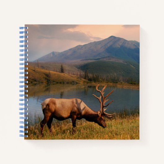 Gebirge | Jacques Mountain Range Alberta Kanada Notizblock (Vorderseite)