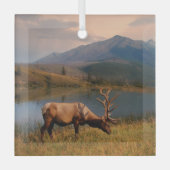 Gebirge | Jacques Mountain Range Alberta Kanada Ornament Aus Glas (Vorderseite)
