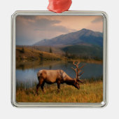 Gebirge | Jacques Mountain Range Alberta Kanada Ornament Aus Metall (Vorne)