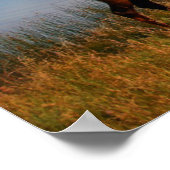 Gebirge | Jacques Mountain Range Alberta Kanada Poster (Ecke)