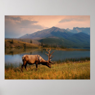 Gebirge   Jacques Mountain Range Alberta Kanada Poster