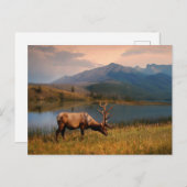 Gebirge | Jacques Mountain Range Alberta Kanada Postkarte (Vorne/Hinten)