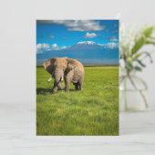 Gebirge | Kilimanjaro Tansania, Afrika Dankeskarte (Stehend Vorderseite)