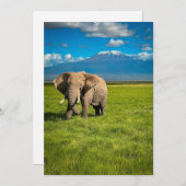 Gebirge | Kilimanjaro Tansania, Afrika Dankeskarte (Vorne/Hinten)