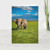 Gebirge | Kilimanjaro Tansania, Afrika