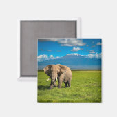 Gebirge | Kilimanjaro Tansania, Afrika Magnet (Vorderseite/Rückseite)