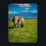Gebirge | Kilimanjaro Tansania, Afrika Magnet<br><div class="desc">Dieses phantastische Getty Images Foto besticht durch einen weißen Elefanten mit dem Kilimanjaro im Nordosten Tansanias,  Afrika.</div>