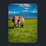 Gebirge | Kilimanjaro Tansania, Afrika Magnet<br><div class="desc">Dieses phantastische Getty Images Foto besticht durch einen weißen Elefanten mit dem Kilimanjaro im Nordosten Tansanias,  Afrika.</div>