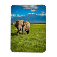 Gebirge | Kilimanjaro Tansania, Afrika