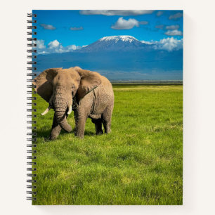 Gebirge   Kilimanjaro Tansania, Afrika Notizblock