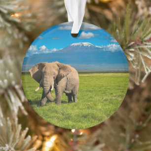 Gebirge   Kilimanjaro Tansania, Afrika Ornament