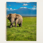 Gebirge | Kilimanjaro Tansania, Afrika Planer (Vorderseite)