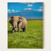 Gebirge | Kilimanjaro Tansania, Afrika Planer (Rückseite)