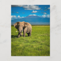 Gebirge | Kilimanjaro Tansania, Afrika
