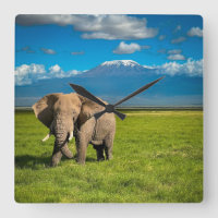 Gebirge | Kilimanjaro Tansania, Afrika