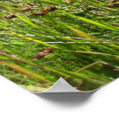 Gebirge Poster (Ecke)