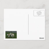 Gebirge Postkarte (Rückseite)