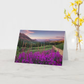 Gebirge | Rocky Mountains, Colorado Karte (Gelbe Blume)