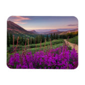 Gebirge | Rocky Mountains, Colorado Magnet (Horizontal)
