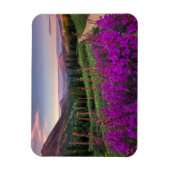 Gebirge | Rocky Mountains, Colorado Magnet (Vertikal)