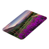 Gebirge | Rocky Mountains, Colorado Magnet (Linke Seite)