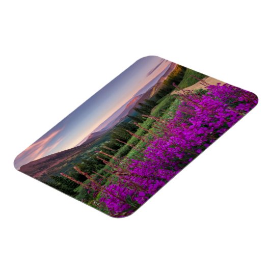 Gebirge | Rocky Mountains, Colorado Magnet (Linke Seite)