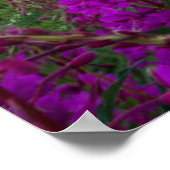 Gebirge | Rocky Mountains, Colorado Poster (Ecke)