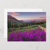 Gebirge | Rocky Mountains, Colorado Postkarte (Vorne/Hinten)