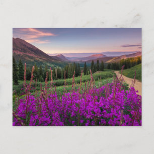 Gebirge   Rocky Mountains, Colorado Postkarte