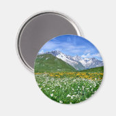 Gebirge | Schweizer Alpenfrühling Magnet (Vorderseite/Rückseite)